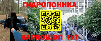 не бодяженный Кингисепп