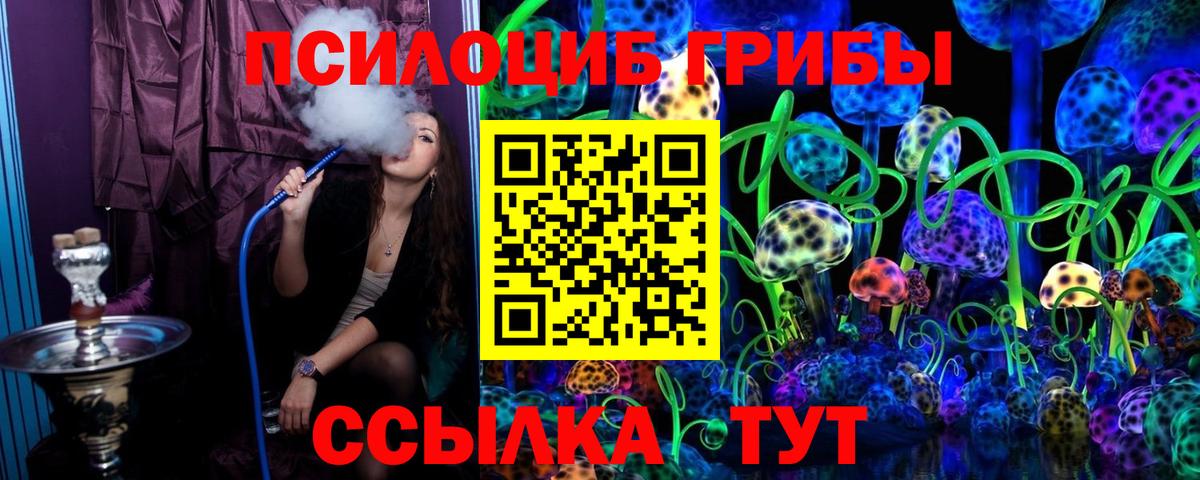 Коряжма  Псилоцибиновые грибы мухоморы  Вход с VPN 